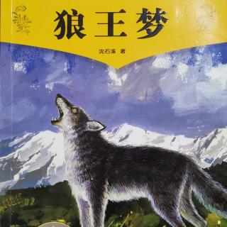 我喜欢的一本书《狼王梦》