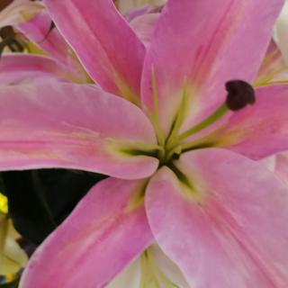 2021-10-130757主播:向上少儿—李婧琪1011评论(暂无评论)暂时没有