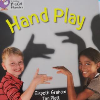 Big Cat-Hand Play