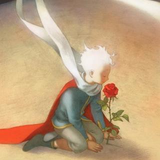 小王子的玫瑰花