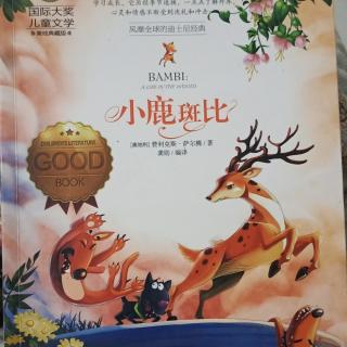 小鹿斑比（4）上