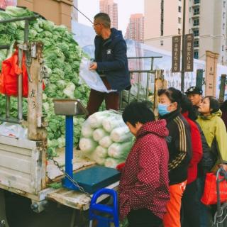 南方人买菜论颗，北方人买菜论车