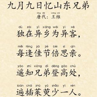 九九重阳（网络文章）