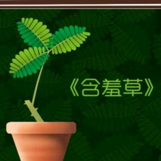 杜昕萌新闻播报《有趣的植物—含羞草》2021.10.14