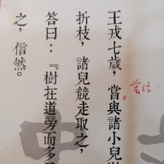 王戎观虎王戎识李世说新语