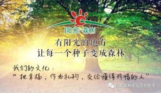 整体自然疗法9压力与健康管理之压力的来源