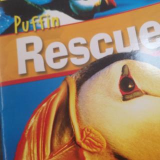 Puffin Rescue by Darcy