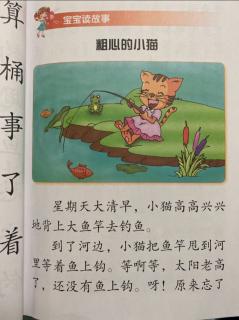 粗心的小猫