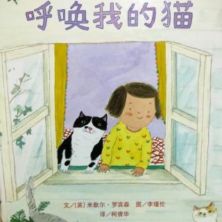 《呼唤我的猫🐱》