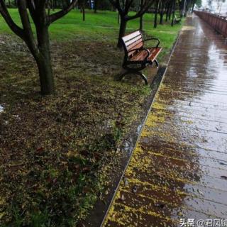 这雨，这花，这光阴……