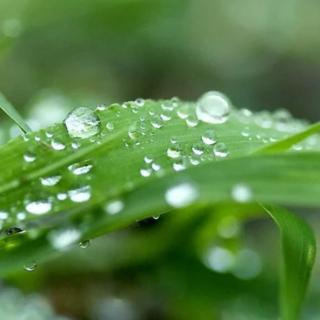 诗歌《雨后》