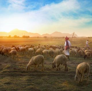 牧羊少年奇幻之旅——自序、引子