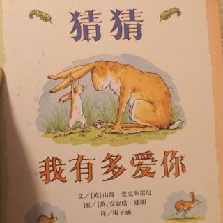 ,猜猜我有多爱你