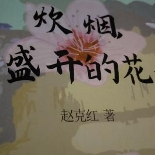 桃花源里悟人生   赵克红  著