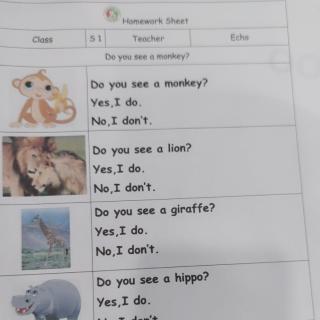 S1-Di you see a monkey
