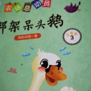 看望🐔👵