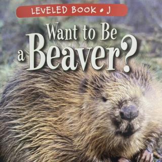 RAZ LevelJ 803 - Want to be a Beaver?