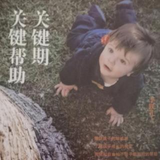 《关键期关键帮助》孩子从探索环境中发展自己