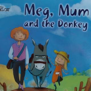 Big Cat-Meg Mum and the Donkey