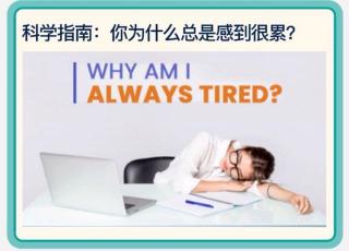 Why am I always tired❓感到疲惫的原因