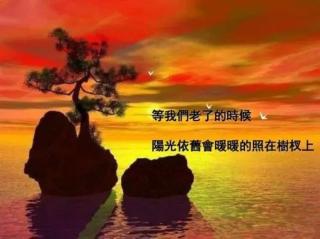 《等我们老了的时候》作者：碑林路人