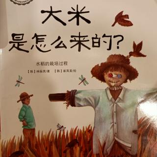 威斯里安国际早教中心媛媛老师《大米是怎么来的？》