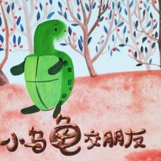 斑马玩学故事电台——《小乌龟交朋友》