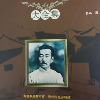 《鲁迅经典》介绍