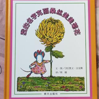 我的名字克丽桑丝美美菊花