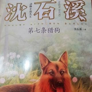 赵芷菡《第七条猎狗》