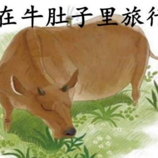 白笑语《短尾巴讲的故事》（来自FM182831076）