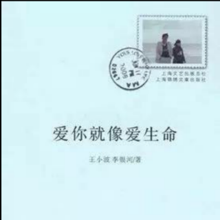 《爱你就像爱生命》王小波情书选（十七）