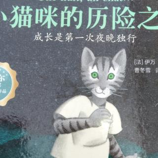 小猫咪的历险之夜