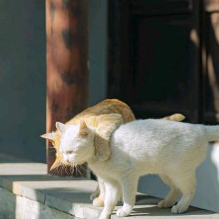 晚安呐宝～你是最棒的！