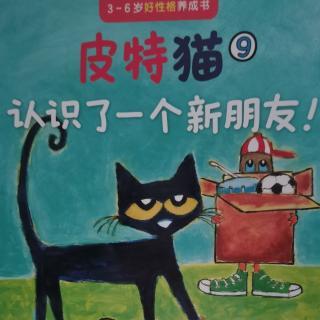 皮特猫9-认识了一个新朋友