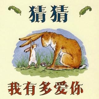 睡前故事《猜猜我有多爱你》