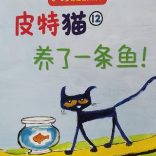 皮特猫12-养了一条鱼