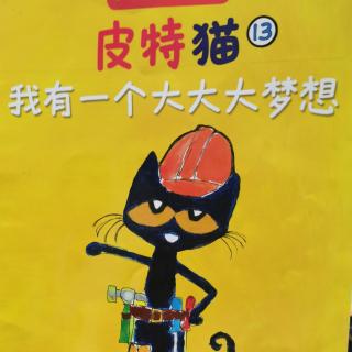 皮特猫13-我有一个大大大梦想