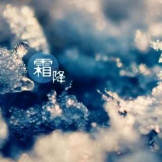 霜降，我背起了乡愁—作者：陈峰