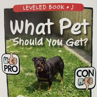 RAZ LevelJ 805 - What Pet Should You get?