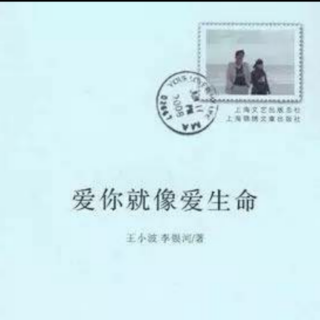 《爱你就像爱生命》王小波情书选（十八）