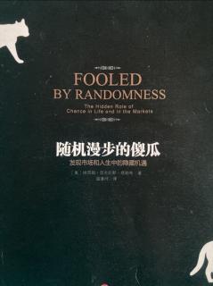 《随机漫步的傻瓜》第一章 下