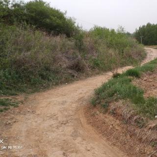 《爱，就在山那边》_宋宝铭