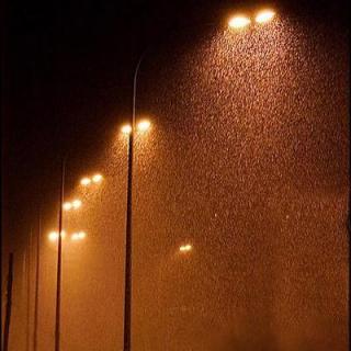 我渴望雨夜  郑敏