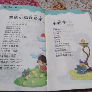 找妈妈，我给小鸡起名字，小耗子