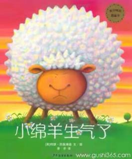 小绵羊生气了🐑