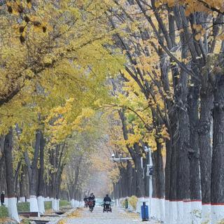 平凡的人《主动让路给别人走》诵读：笑颜