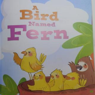 A Bird Named Fern2