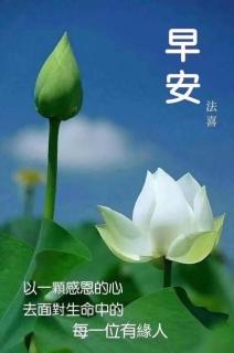 八步骤三种禅修004