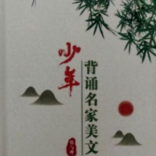 《为人效劳的人》（阿富汗）乌尔法特